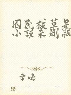 国民校草是女生小说未删版