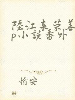 陆江来荣善宝cp小说番外