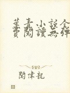 叶青小说全文免费阅读无弹窗封面