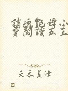 销魂艳婢小说免费阅读五王爷的小说封面