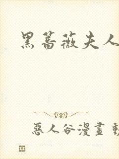 黑蔷薇夫人封面
