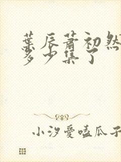 叶辰萧初然更新多少集了封面