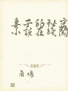 妻子的秘密薛星小说在线阅读封面