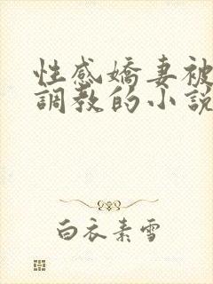 性感娇妻被上司调教的小说