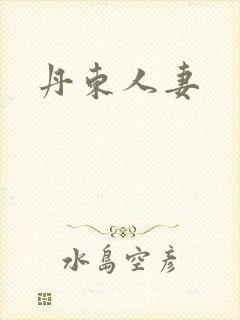 丹东人妻封面