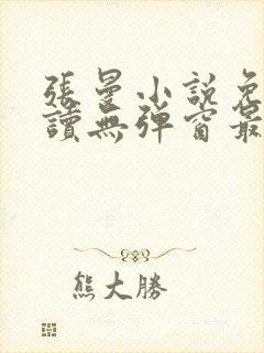 张曼小说免费阅读无弹窗最新章节封面