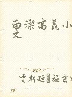 白洁高义小说全文