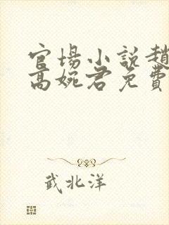 官场小说赵心媚高婉君免费阅读