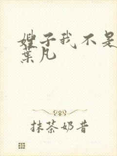 嫂子我不是傻子叶凡