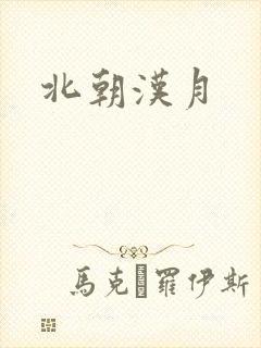 北朝汉月封面