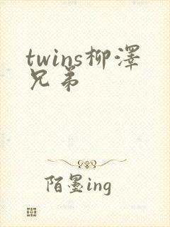 twins柳泽兄弟封面