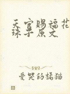 天官赐福花怜塞珠子原文
