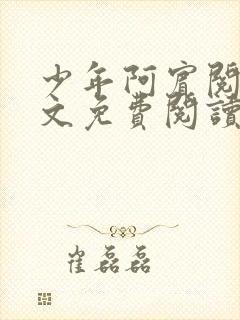 少年阿宾阅读全文免费阅读最新章节封面