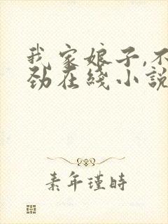 我家娘子,不对劲在线小说免费