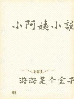 小阿姨小说封面
