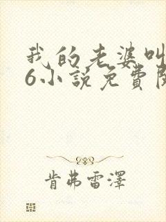 我的老婆叫武艳6小说免费阅读
