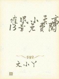 催眠小柔高达第13章免费阅读
