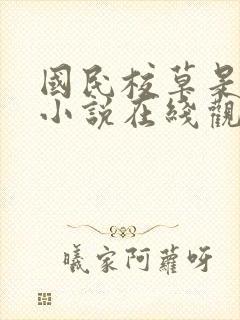国民校草是女生小说在线观看