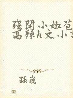 强开小嫩苞h文高辣h文小说