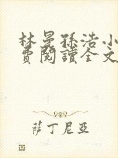 林曼孙浩小说免费阅读全文最新章节