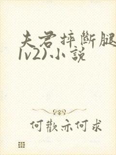 夫君摔断腿后(1v2)小说