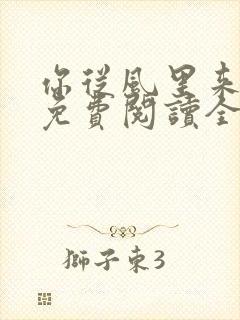 你从风里来小说免费阅读全文