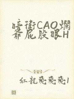 暗卫CAO烂王爷屁股眼H封面