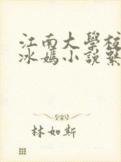 江南大学校花陆冰嫣小说系列封面