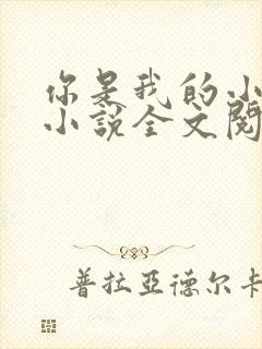 你是我的小确幸小说全文阅读