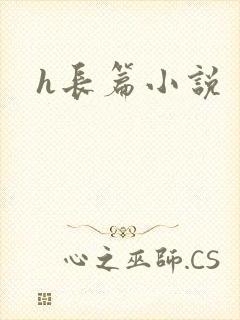h长篇小说封面