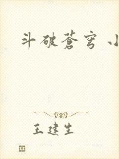 斗破苍穹 小说
