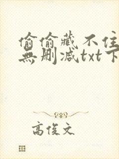 偷偷藏不住全文无删减txt下载