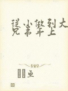 从小做到大骨科兄弟年上