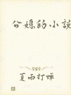 公媳的小说
