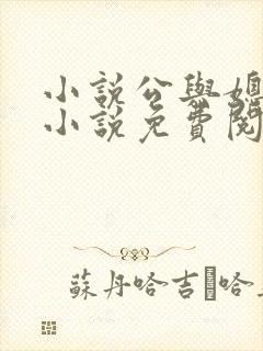 小说公与媳苏暖小说免费阅读