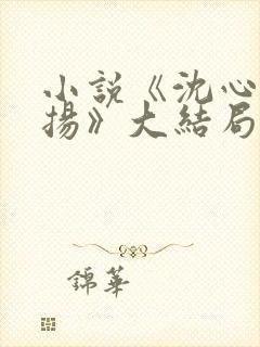 小说《沈心窈祁扬》大结局封面