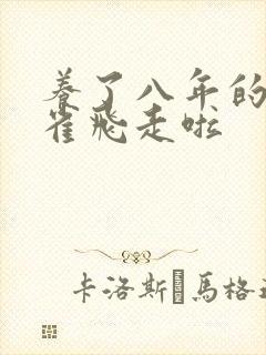 养了八年的金丝雀飞走啦