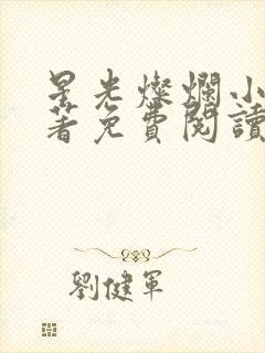 星光灿烂小说原著免费阅读全文