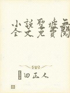 小说圣墟无弹窗全文免费阅读