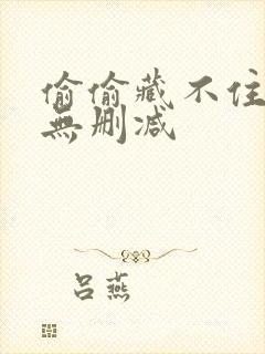 偷偷藏不住番外无删减封面