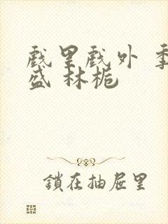 戏里戏外 季淮盛 林栀封面