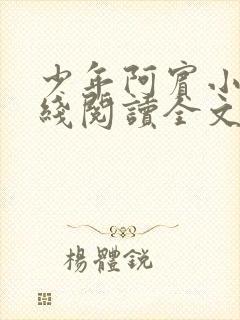 少年阿宾小说在线阅读全文免费