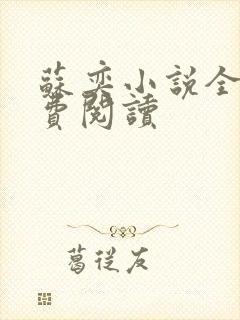 苏奕小说全文免费阅读