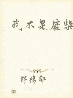 我不是废柴