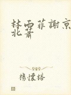 林雨菲谢京墨顾北萧封面