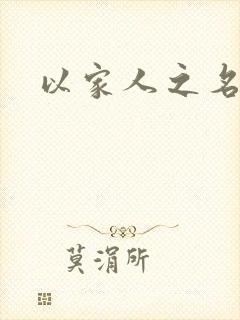 以家人之名小说封面
