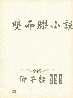双面胶小说