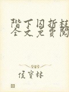 阶下囚折枝小说全文免费阅读完结