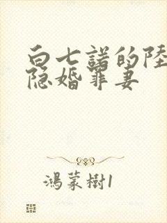 白七诺的陆少的隐婚罪妻