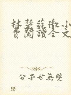 林楚苏彻小说免费阅读全文最新章节封面